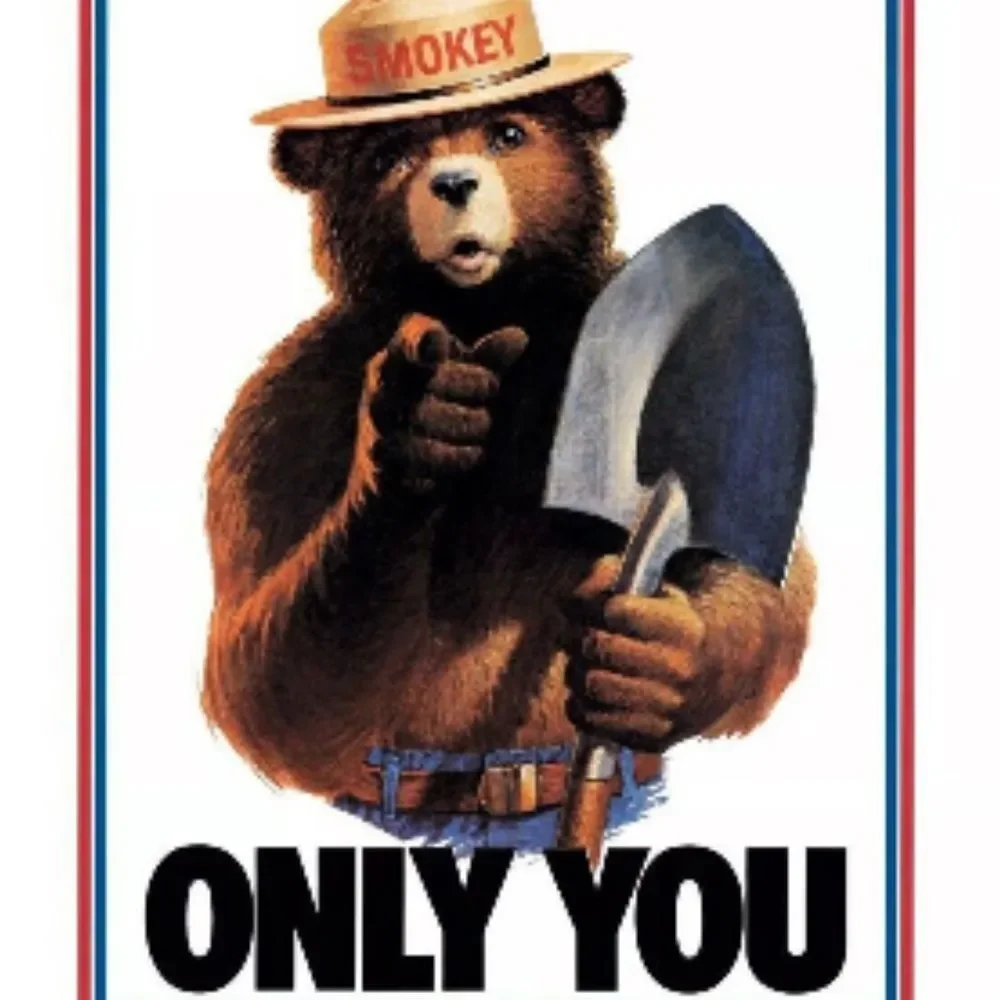 🌟 Open Road Brands Smokey Bear Wall Art - Brown, Blue, Red